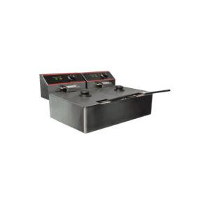 Electric Countertop Fryer with Double Wells